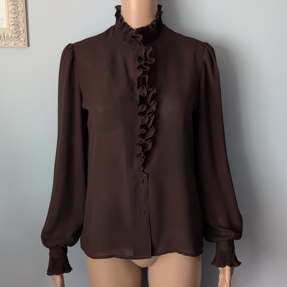 Vintage Whimsigoth Chocolate Brown Pleated Ruffled V-Neck Long Sleeve Blouse - Picture 8 of 16